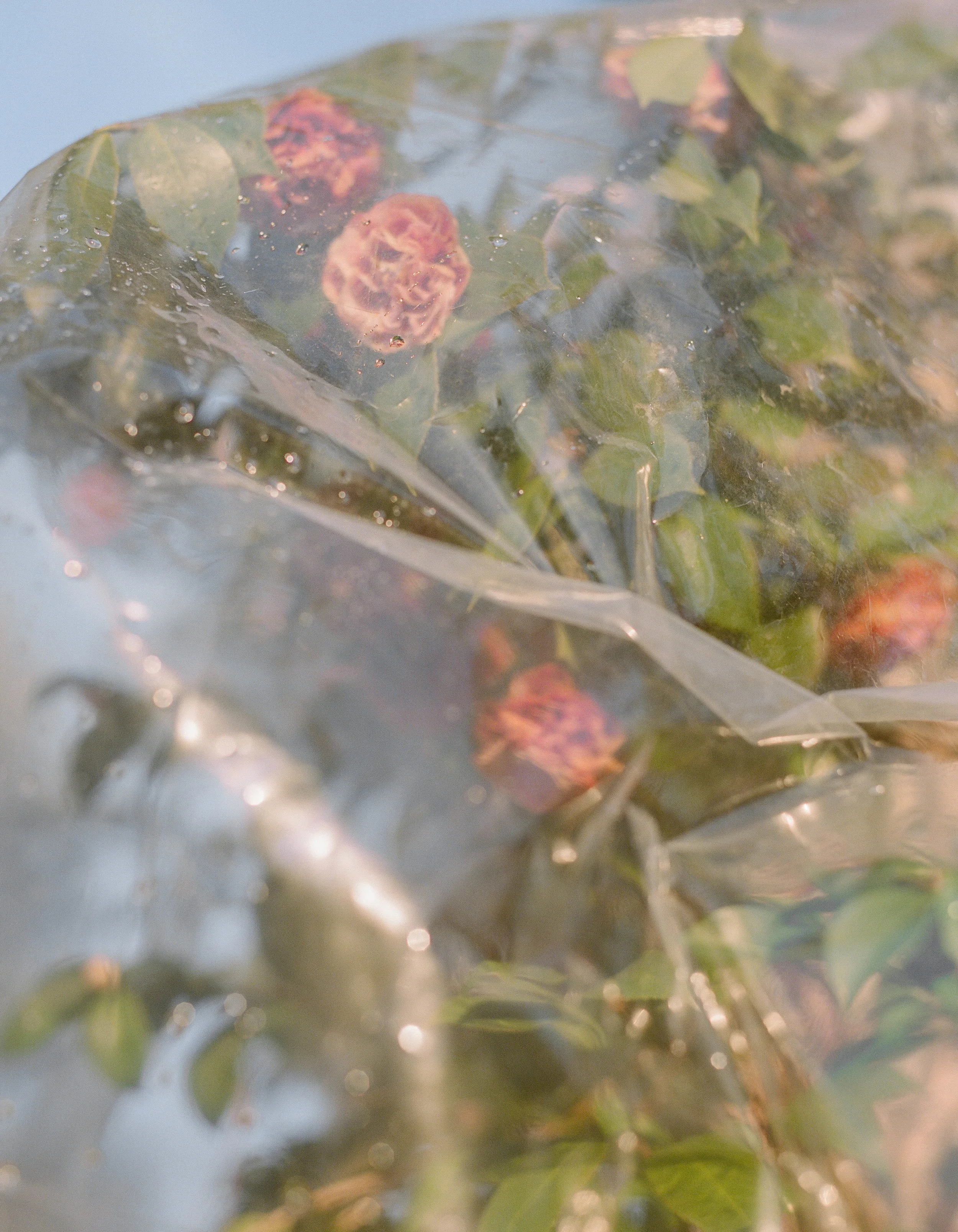 Lack of Oxygen for Girlgaze Book, 2017