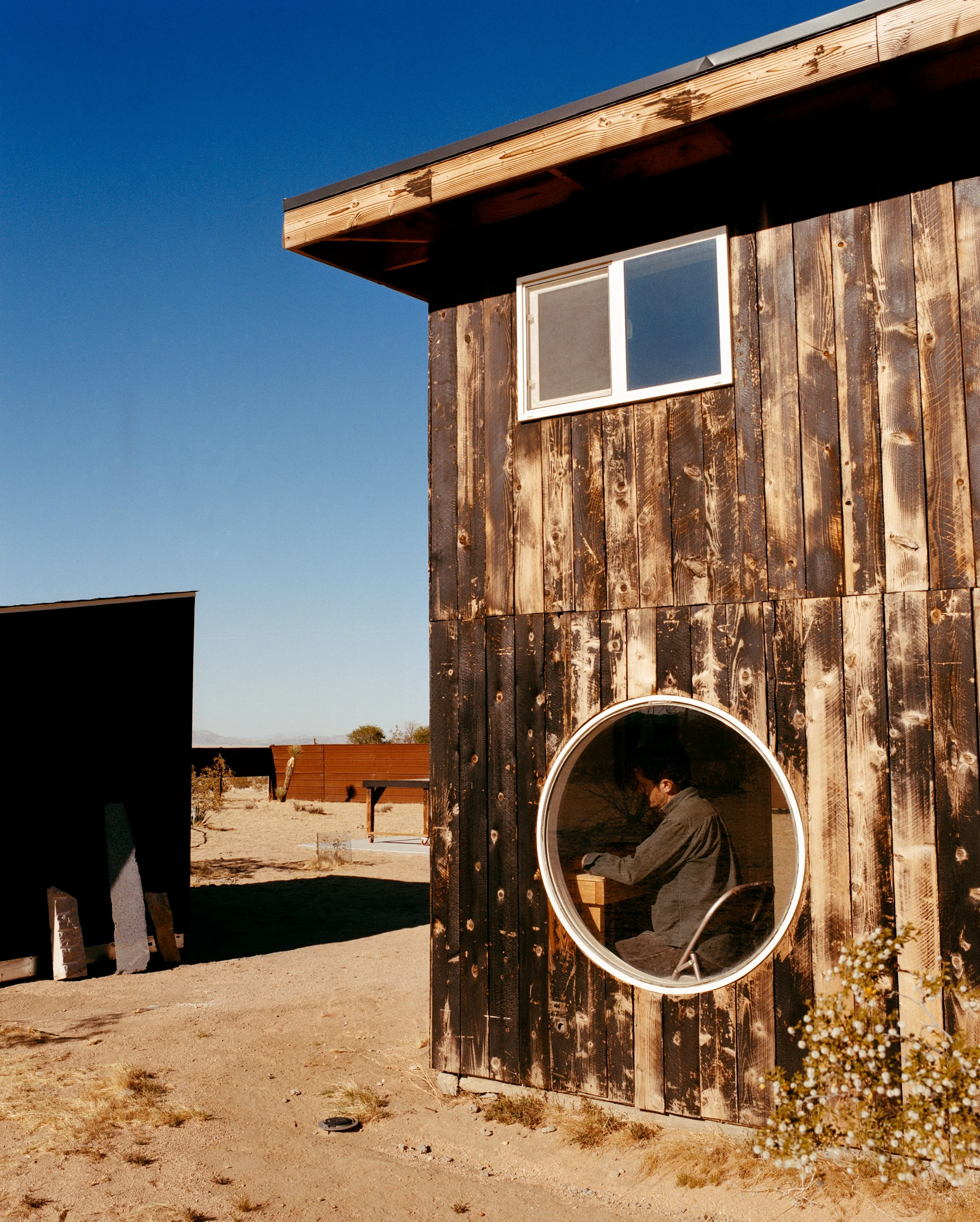 DWL01125_JoshuaTree-CA_JanaKoya_0113.jpg