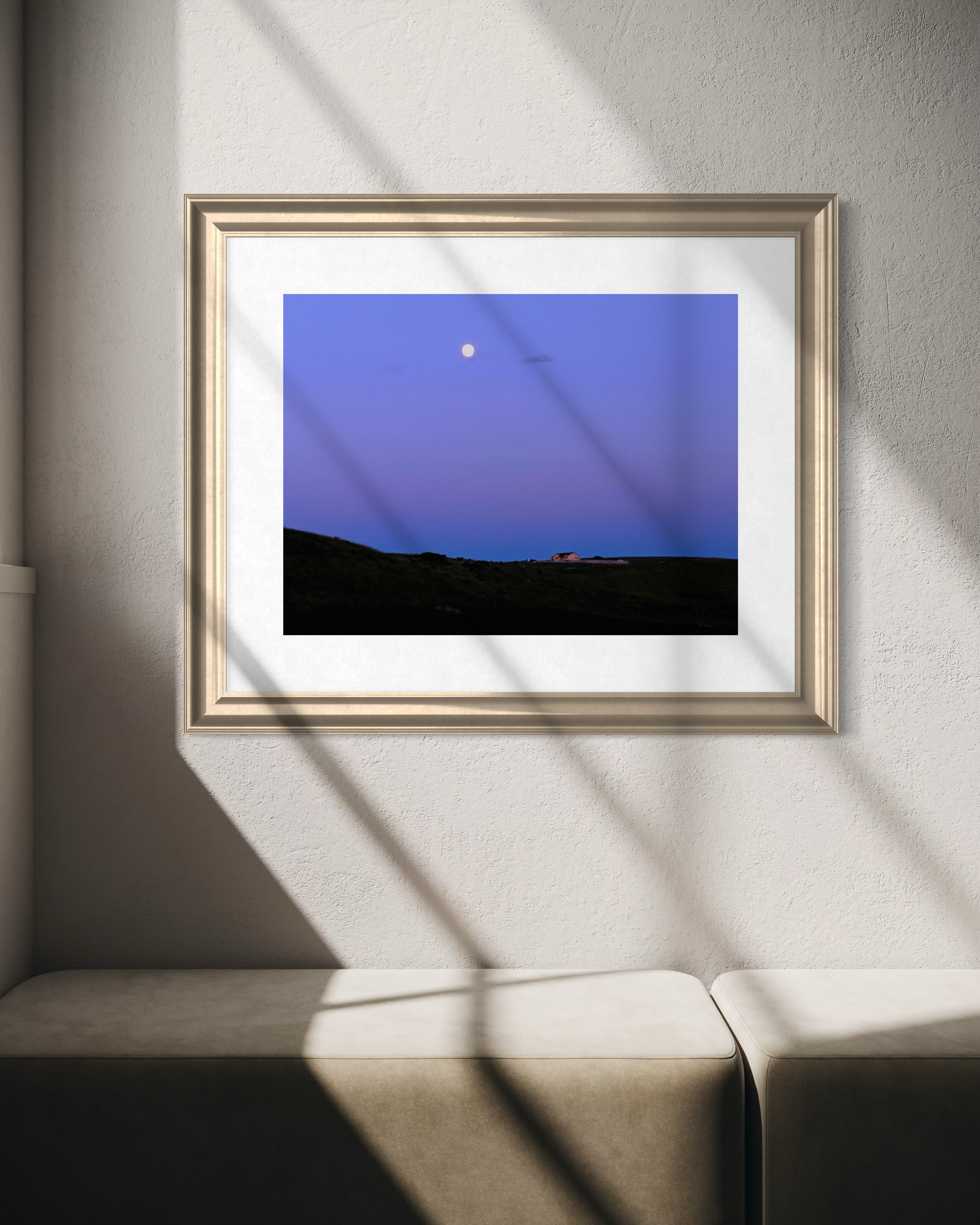 IMG_7828.PNG