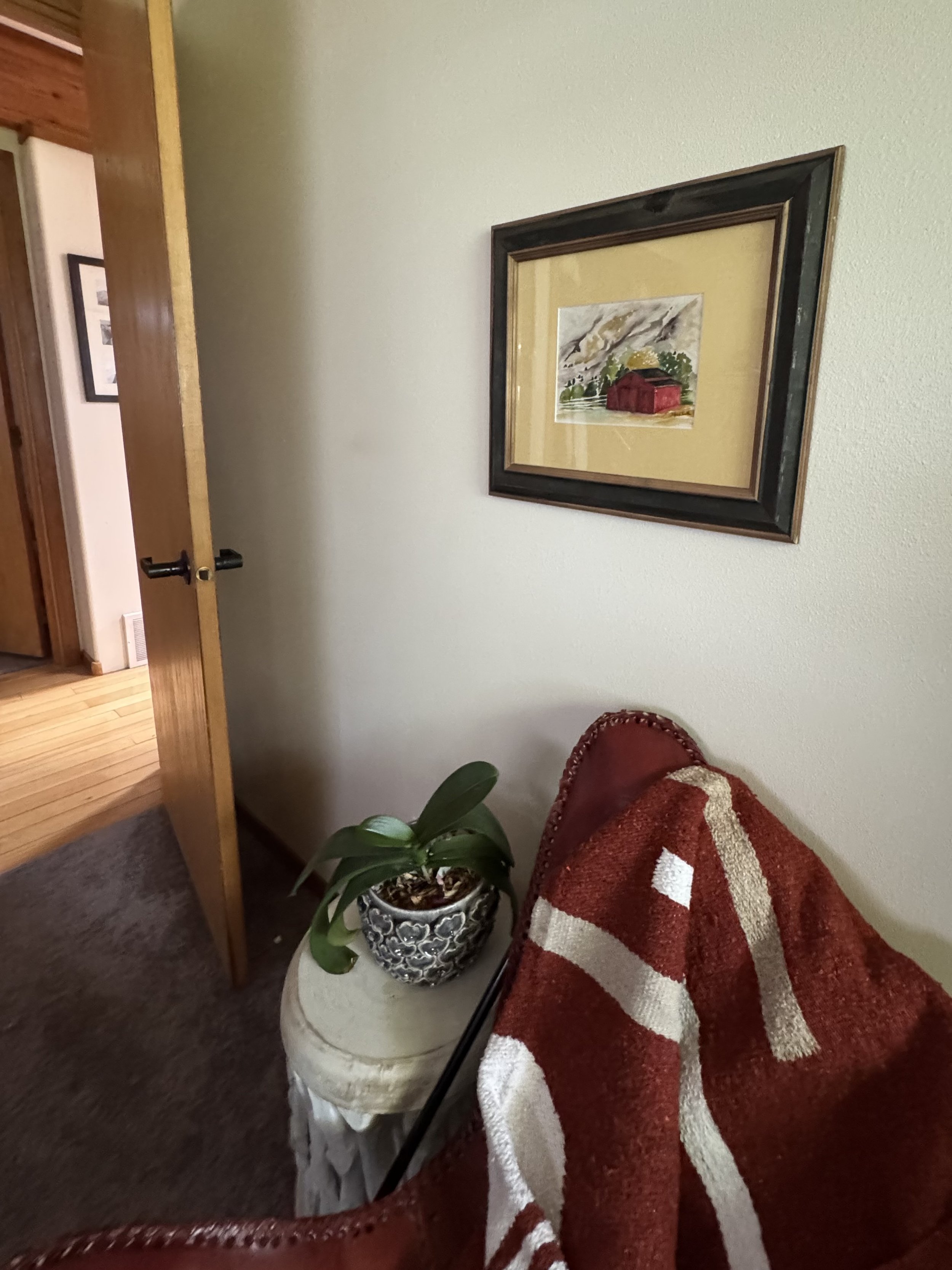 IMG_7046.jpeg
