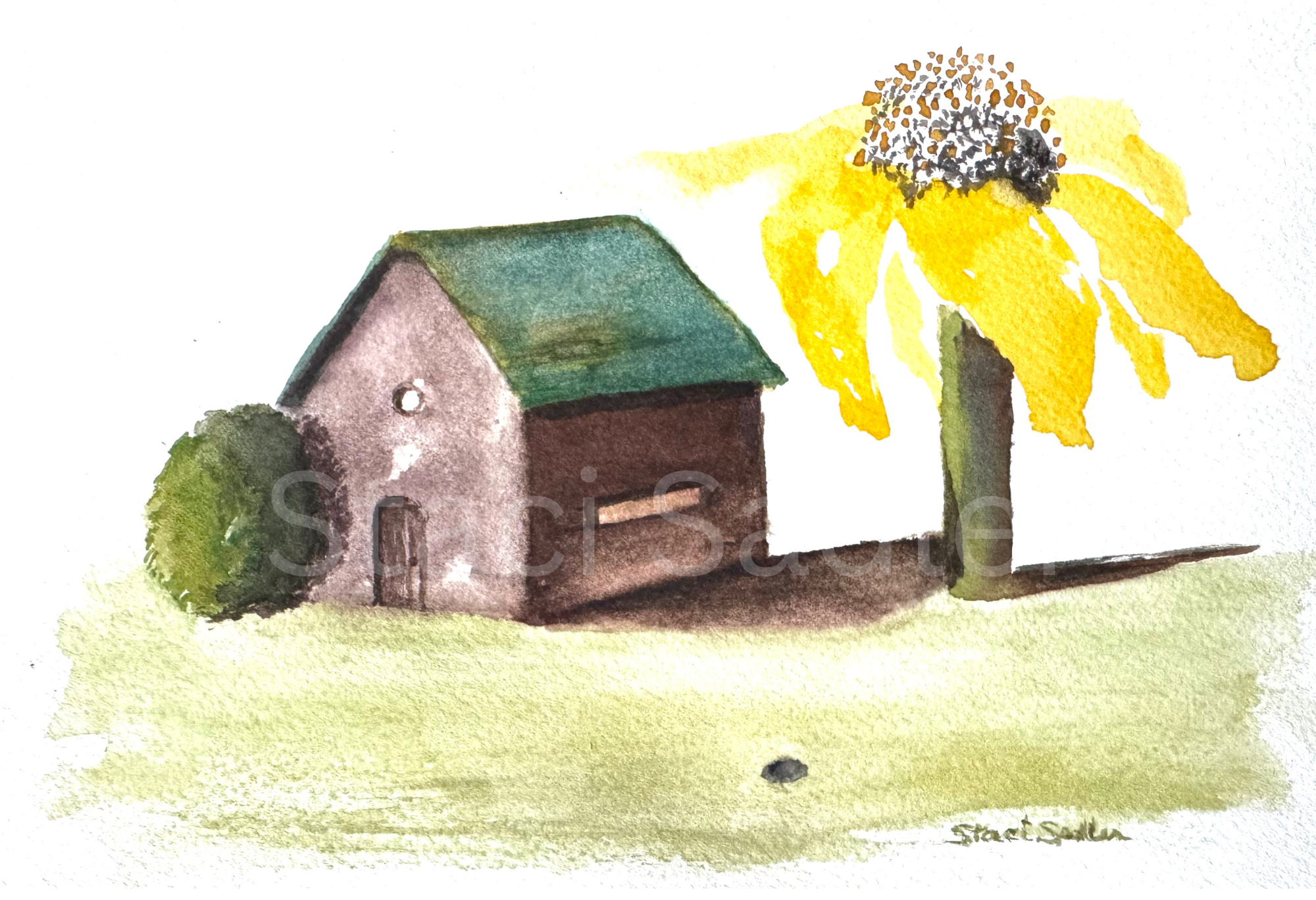 Watermark Sunflower STACI SADLER.png