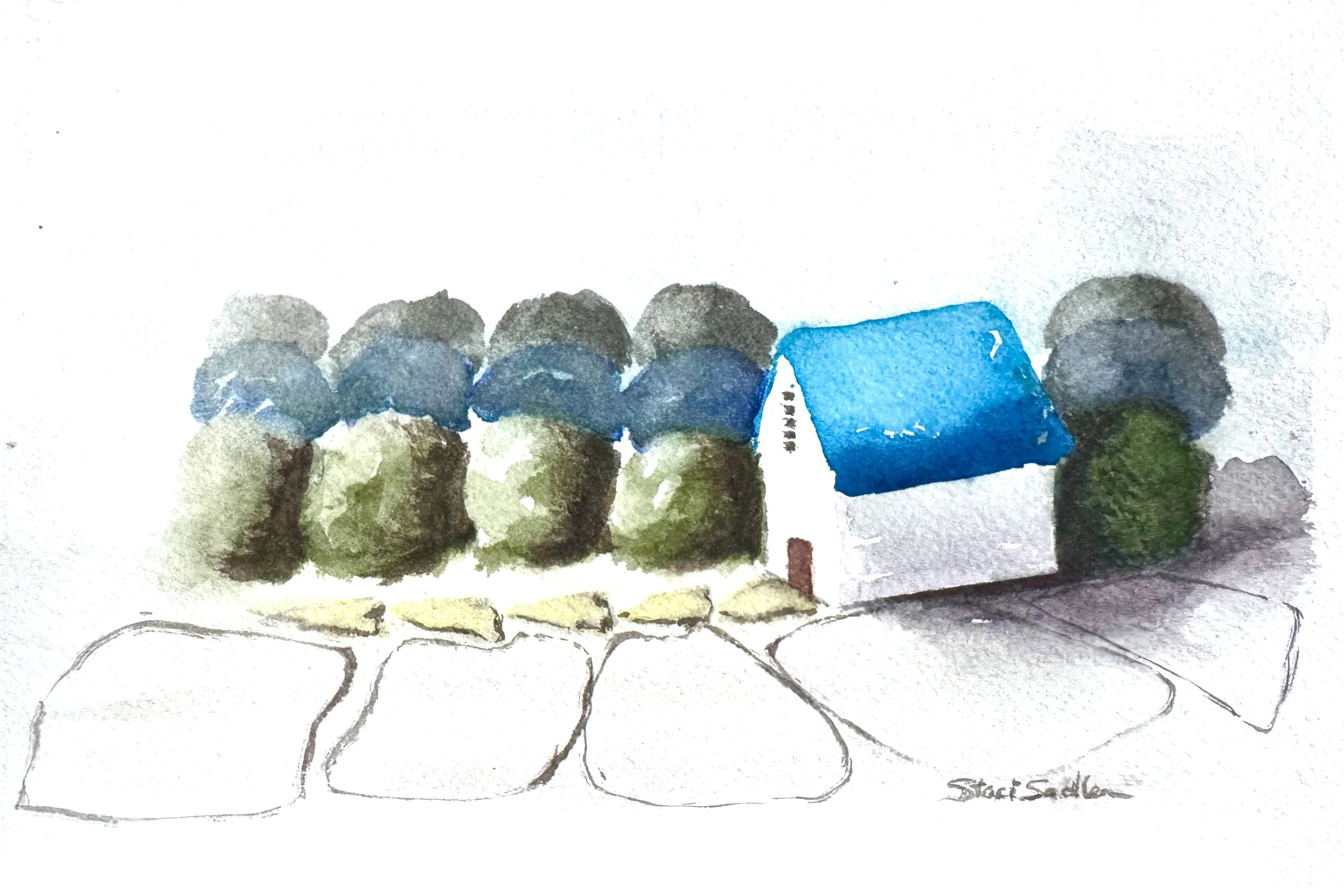 Bright Blue Roof & Giant Blueberries for Bushes