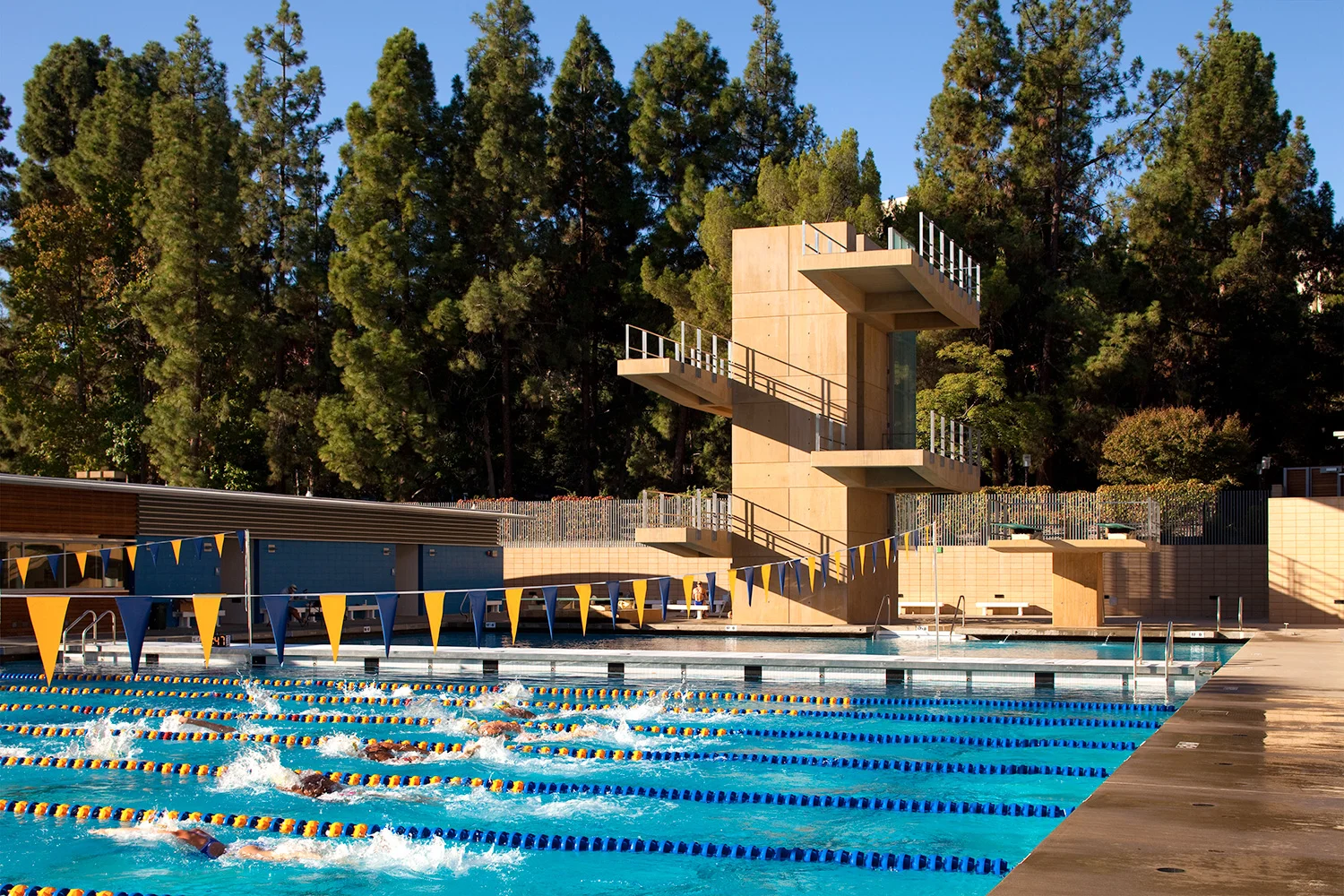 UCLA_2.jpg