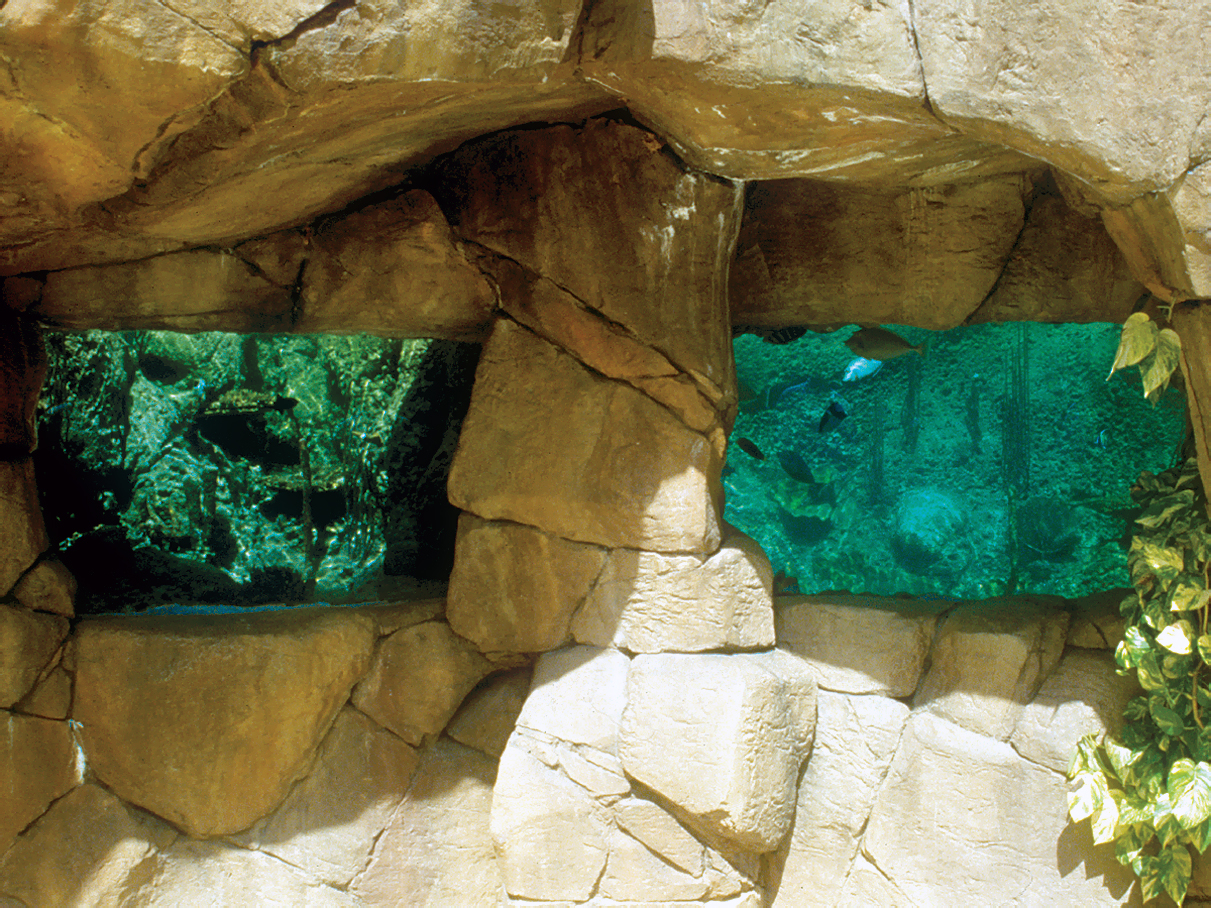 PIC-Guam_4.jpg
