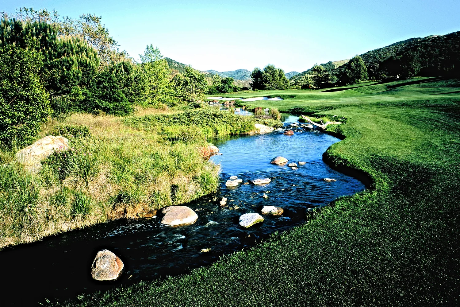 Shady-Canyon_3.jpg