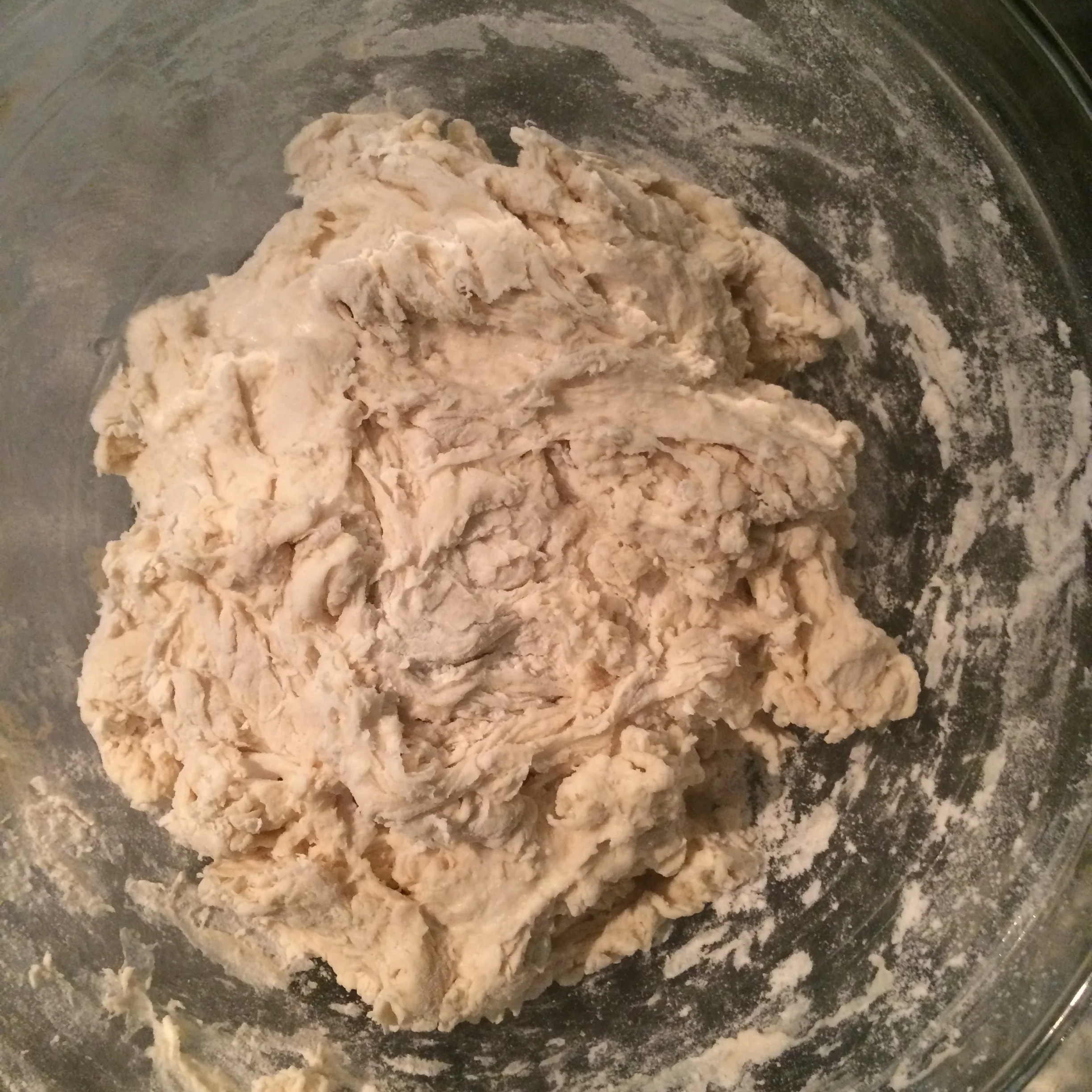 The shaggy dough after mixing the flour and water (step 3).