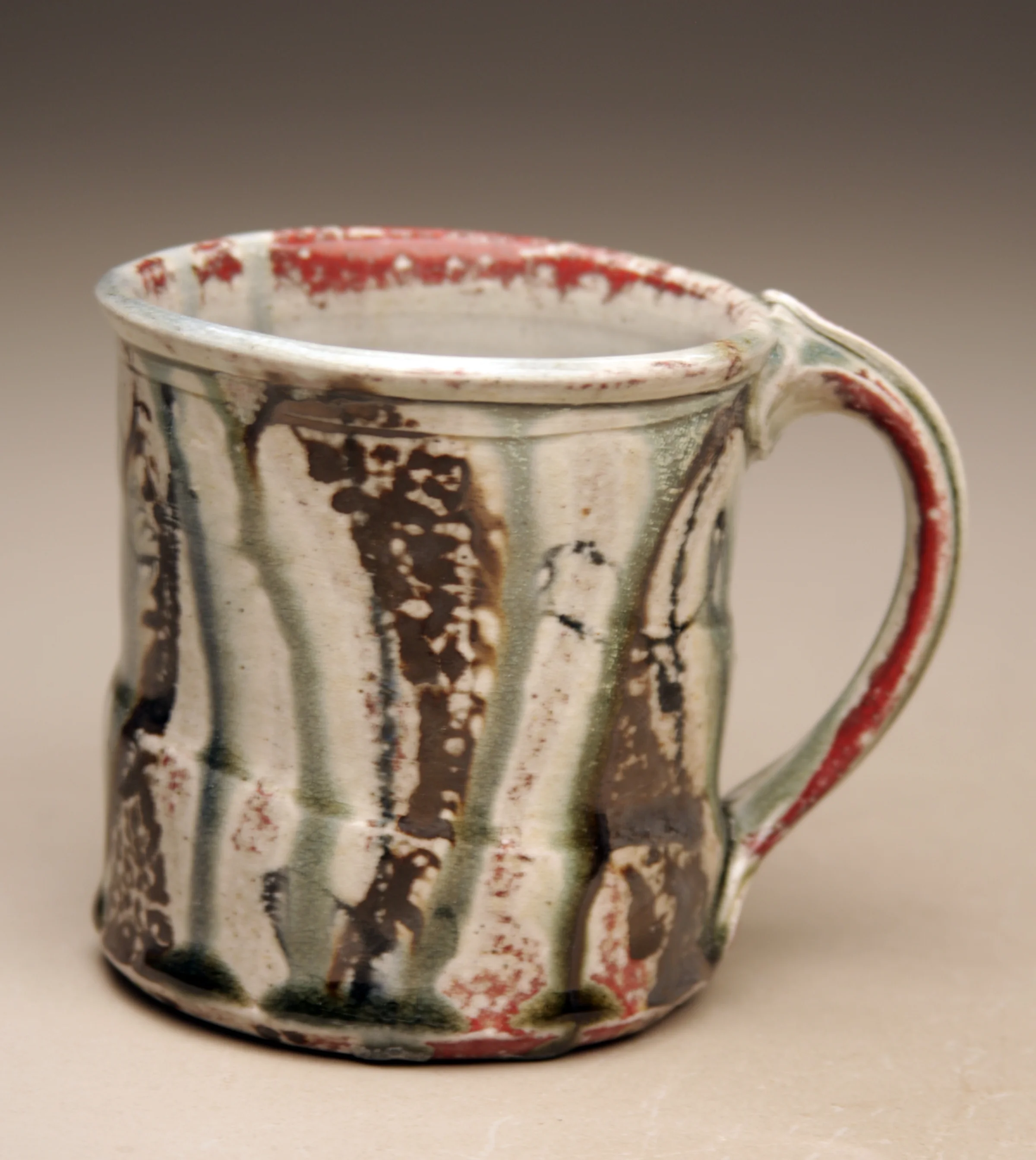 2013 CERF  Mug.jpg