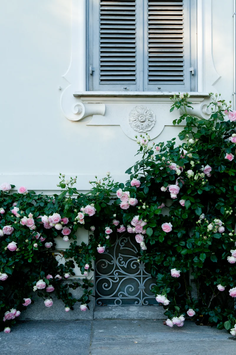ALBA_Garden-31.jpg