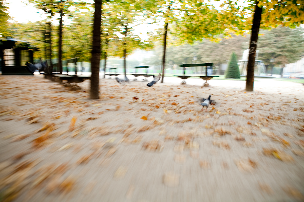 PlacedesVoges_1431.jpg