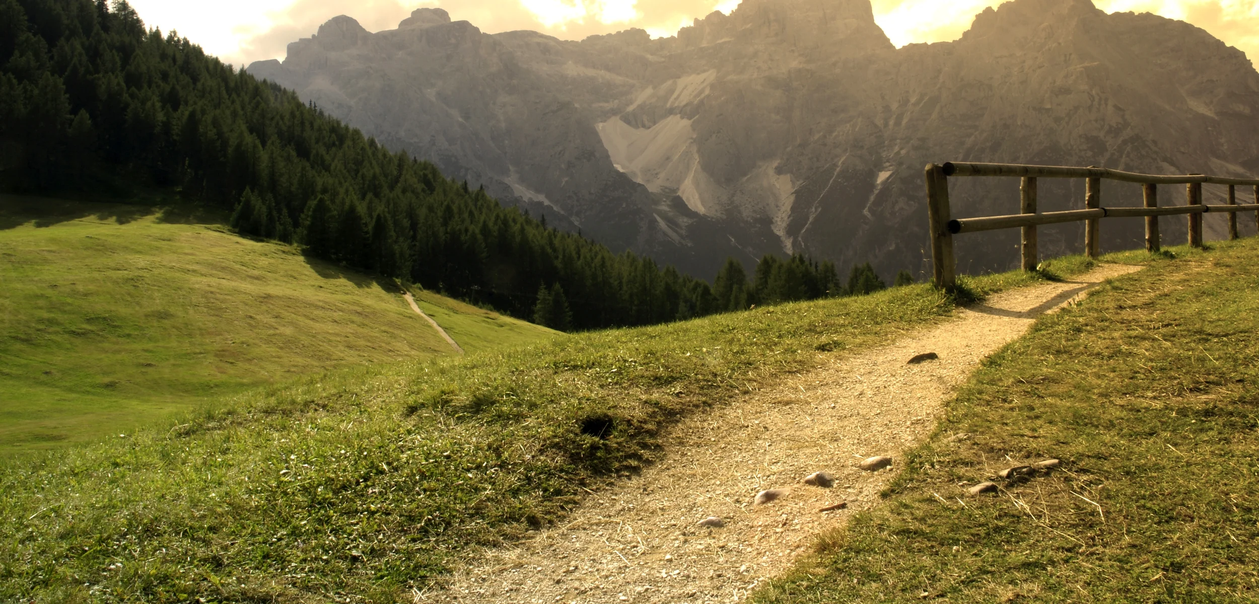 iStock_000010317928_Full-edited-right.jpg
