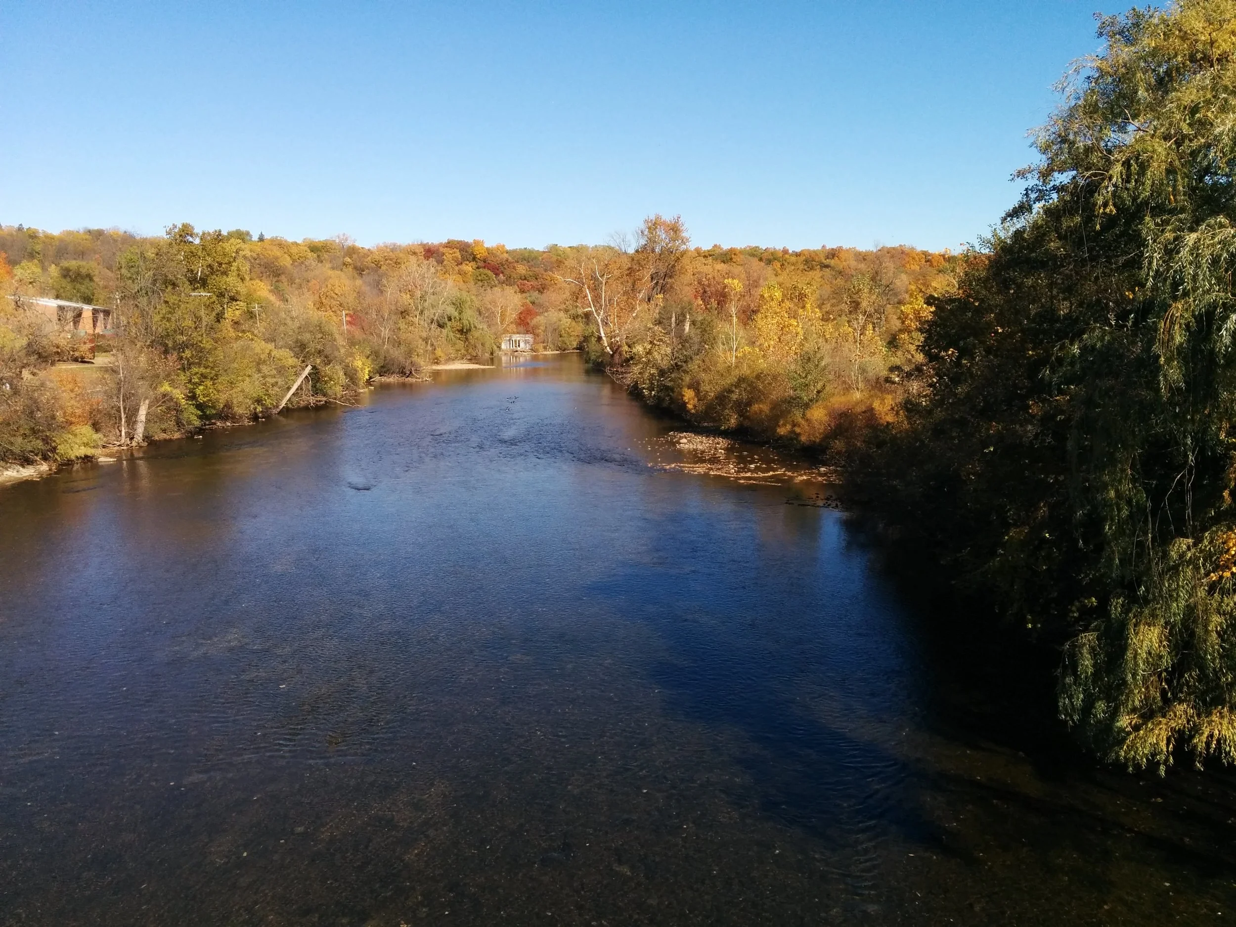 Huron River from Maiden Lane Bridge Fall 2015.jpg