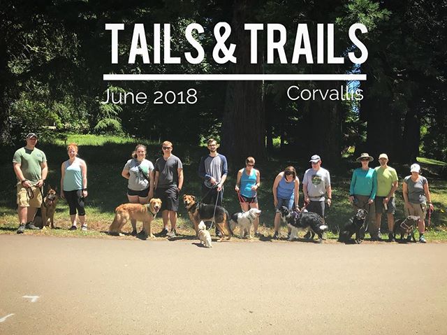 Thank you all for coming to Tails and Trails Hiking Group today, we had such a good time on our relaxing hike! Be sure to be on the lookout for the July and August hikes, will be posting soon!#oregondogs #hikingwithdogs #americanshepherd #pnwdogs #co