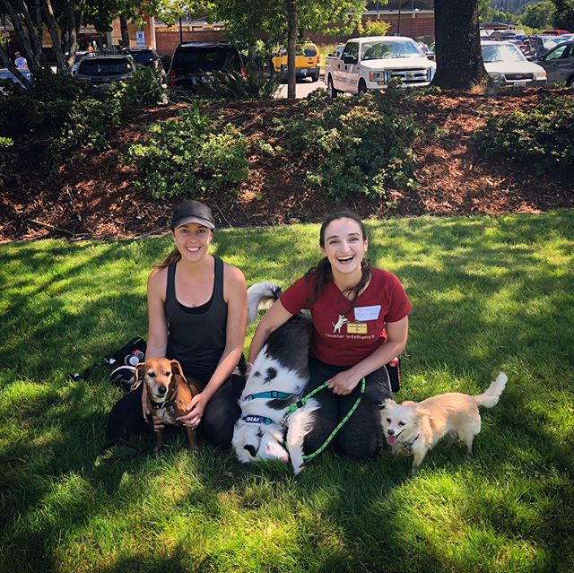 Miriam and I spent this past weekend with @grishastewart and @jordanwshelley learning about their techniques to train reactive and fearful dogs! We even brought Sable, Whisper and Josie along to help out. If you have a fearful or reactive dog, our Wa