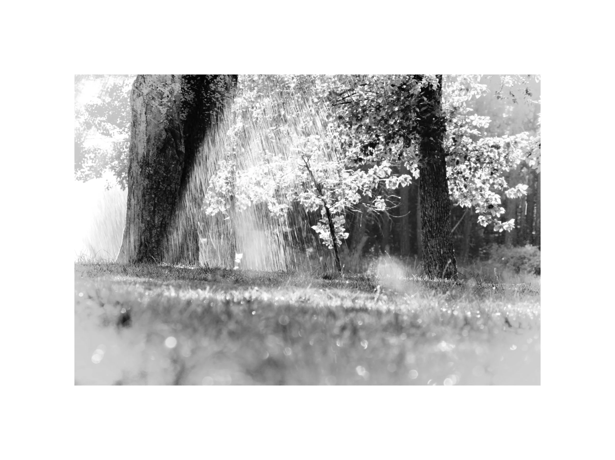IMG_4875_border_wht.jpg