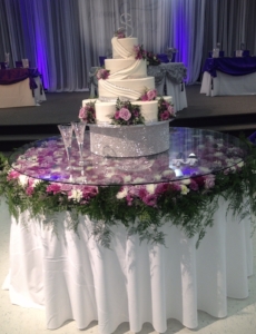 22”x9” Silver Bling Cake Base w Mirrored Top