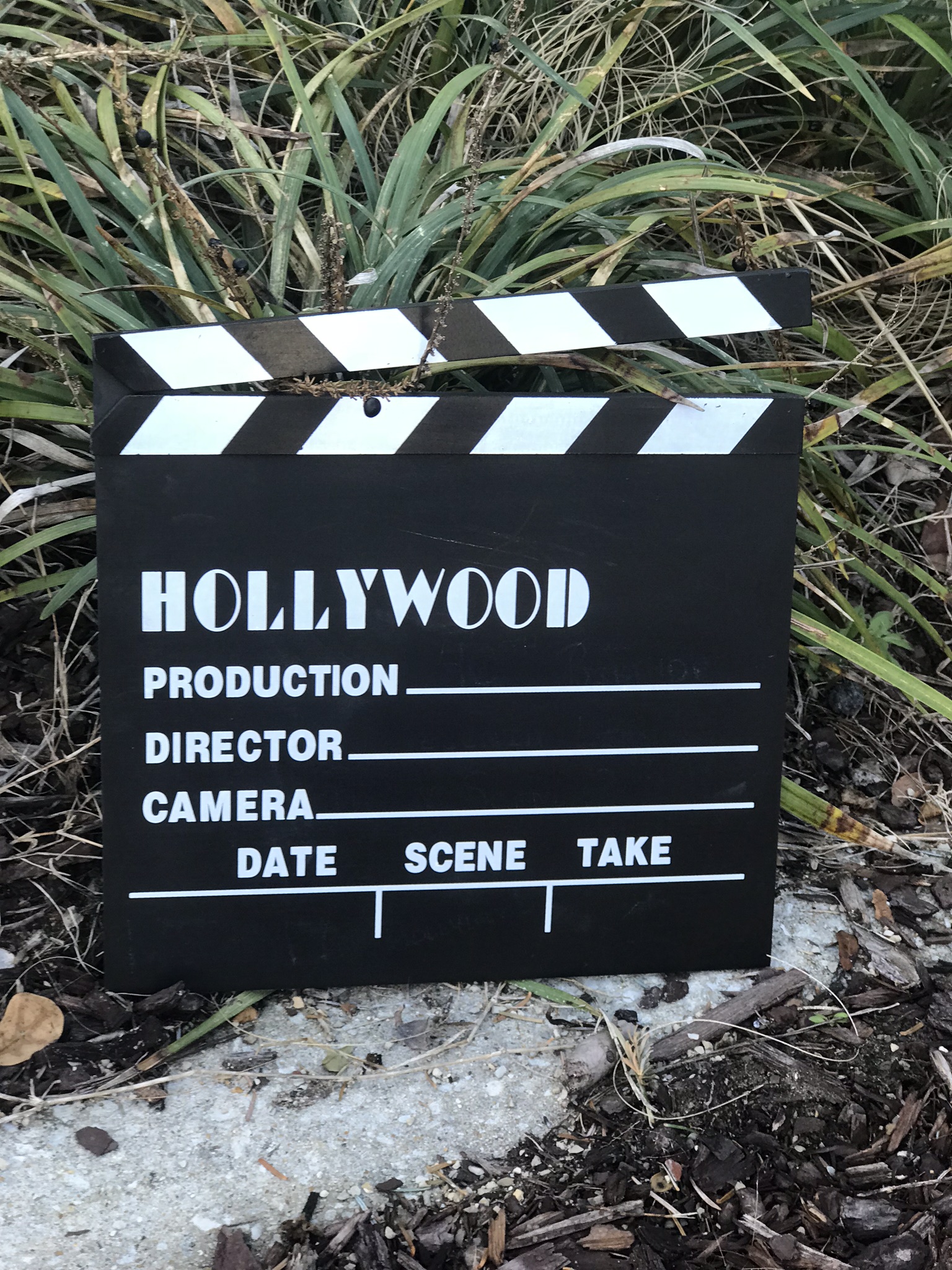 Director Clapper