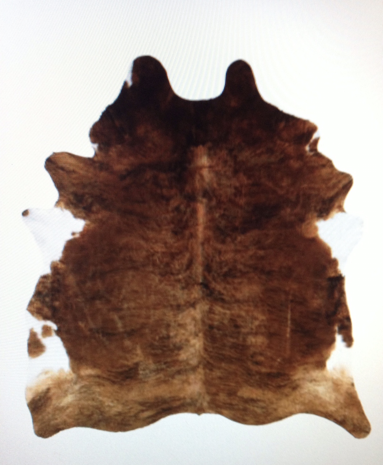 Cow Skin Rug 