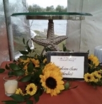Starfish Pedestal #16