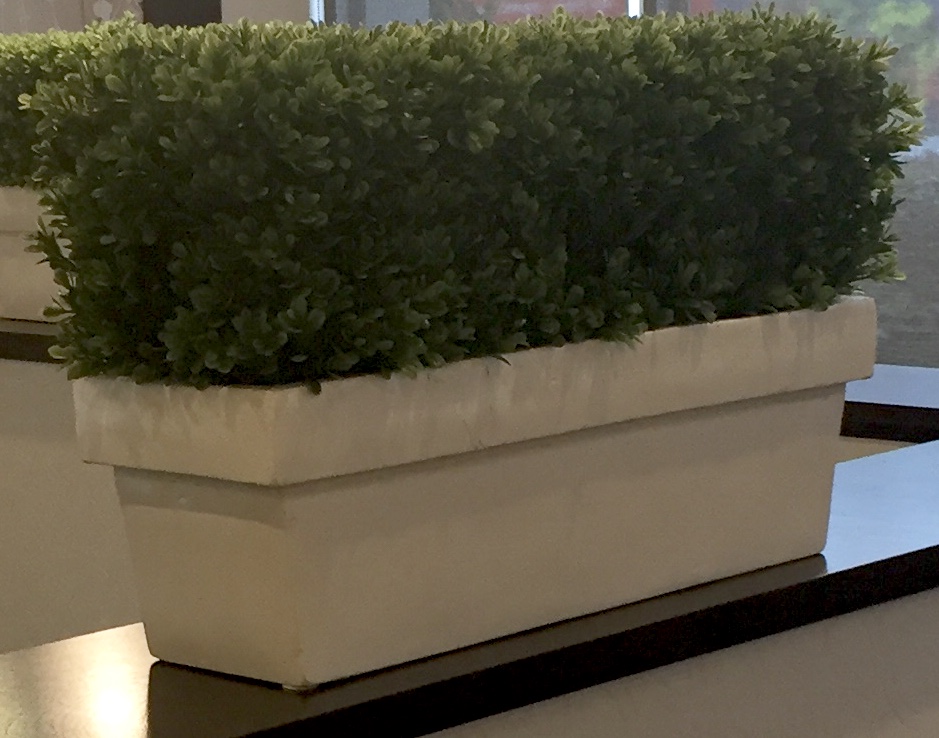 Boxwood Planter in white Base