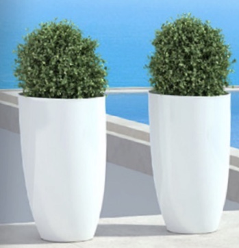 Topiary Balls w large white planters