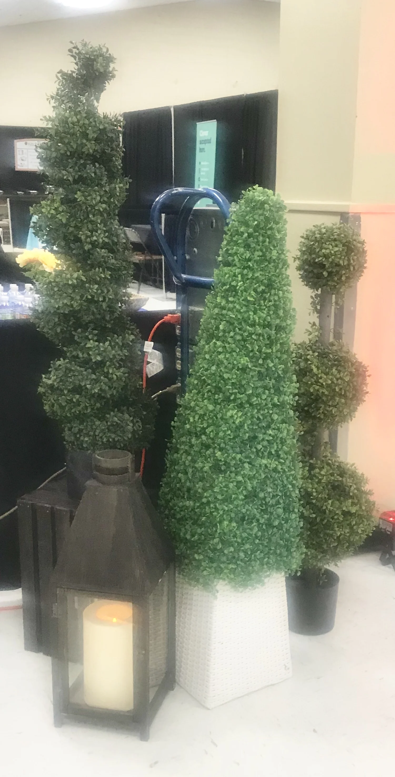 Plants