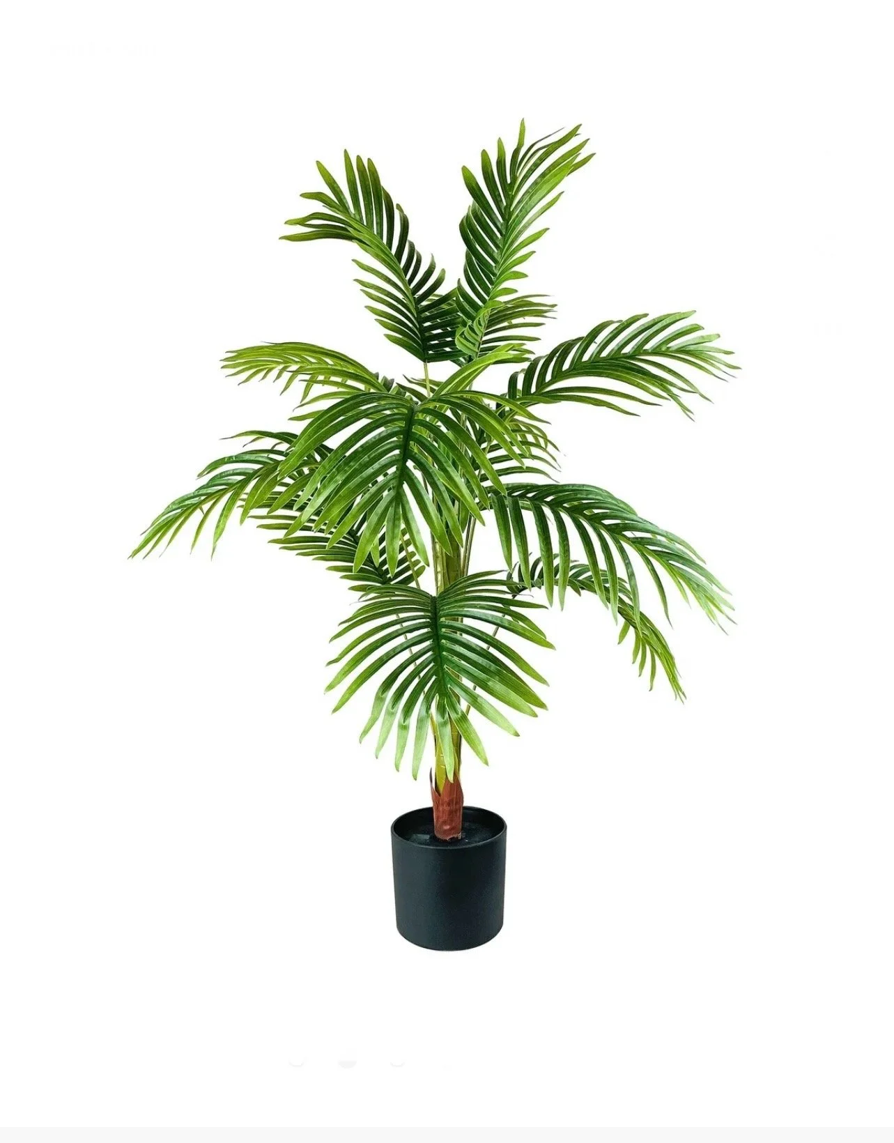 Palm Plant 40” tall x 24” wide 
