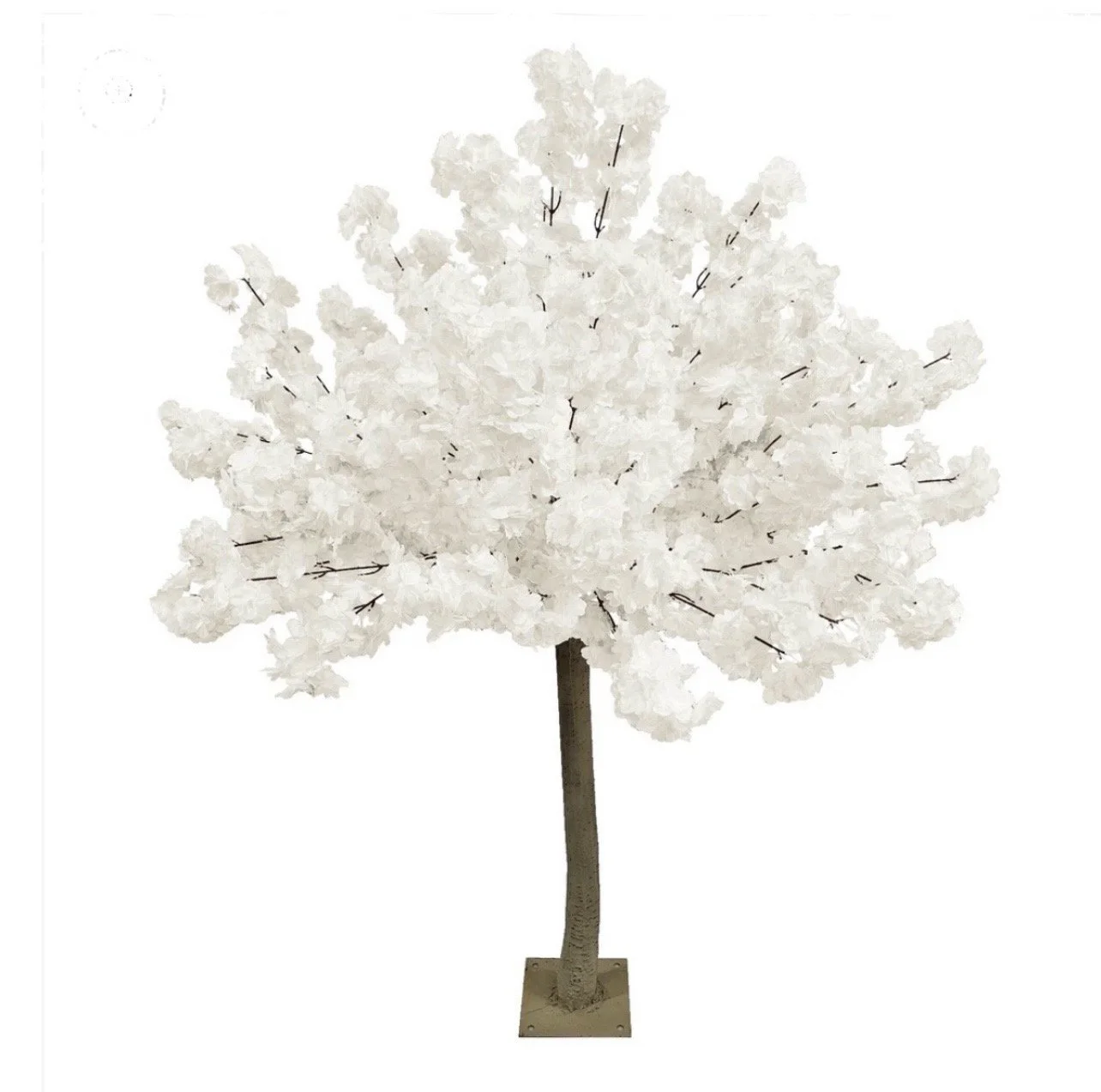 White Cherry Blossom Tree 