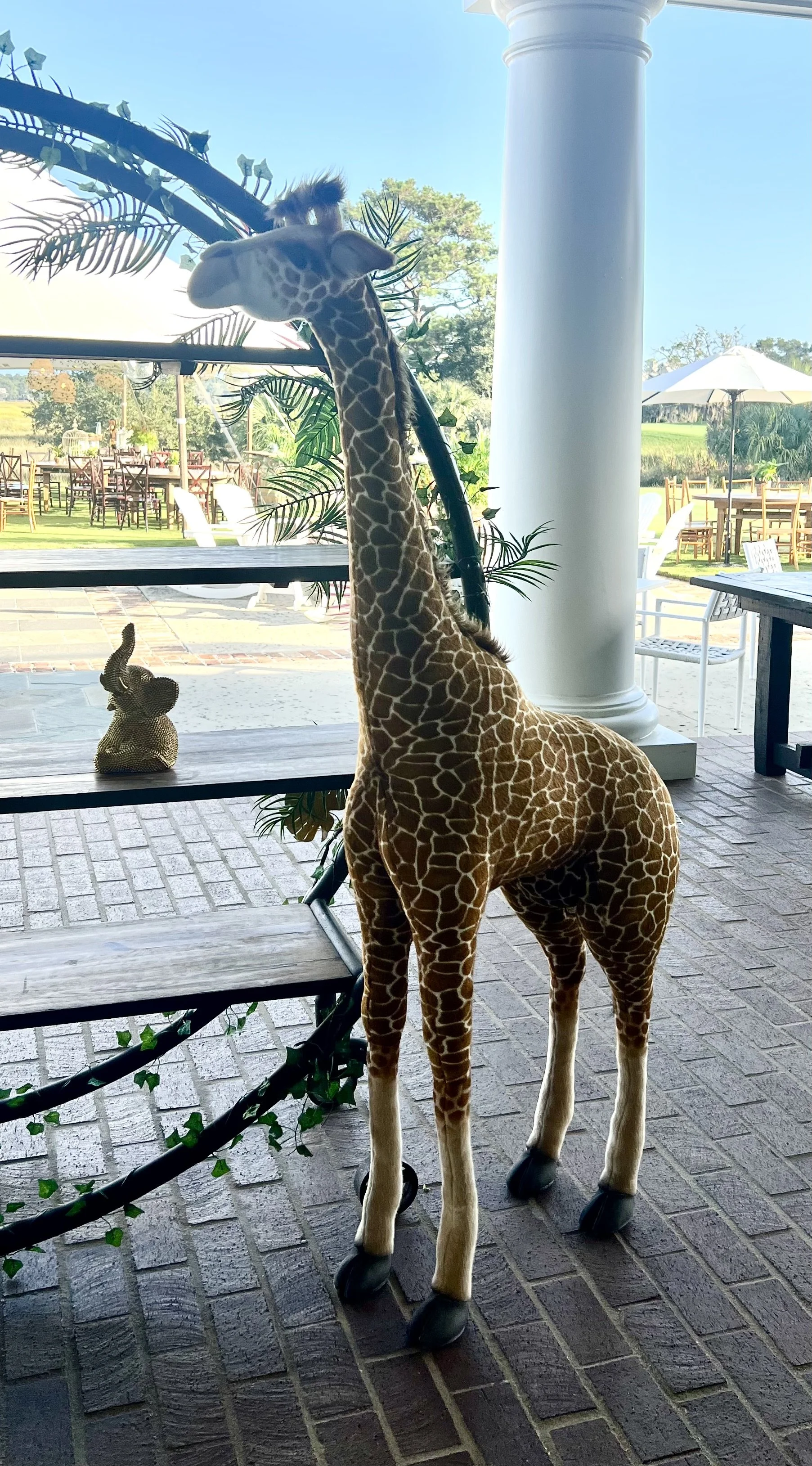 X large Giraffe 