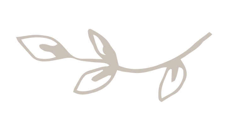 Leaves.png