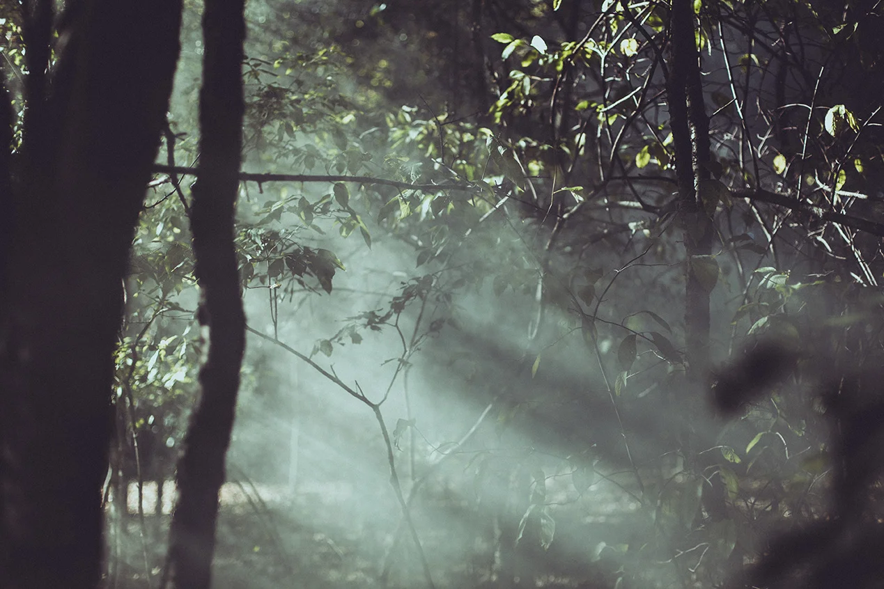 LIGHT-126.jpg