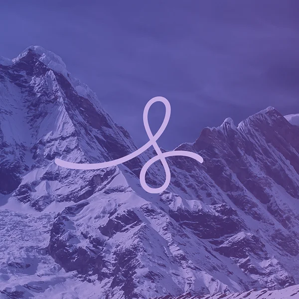 Seekr_thumbnail_purple.jpg