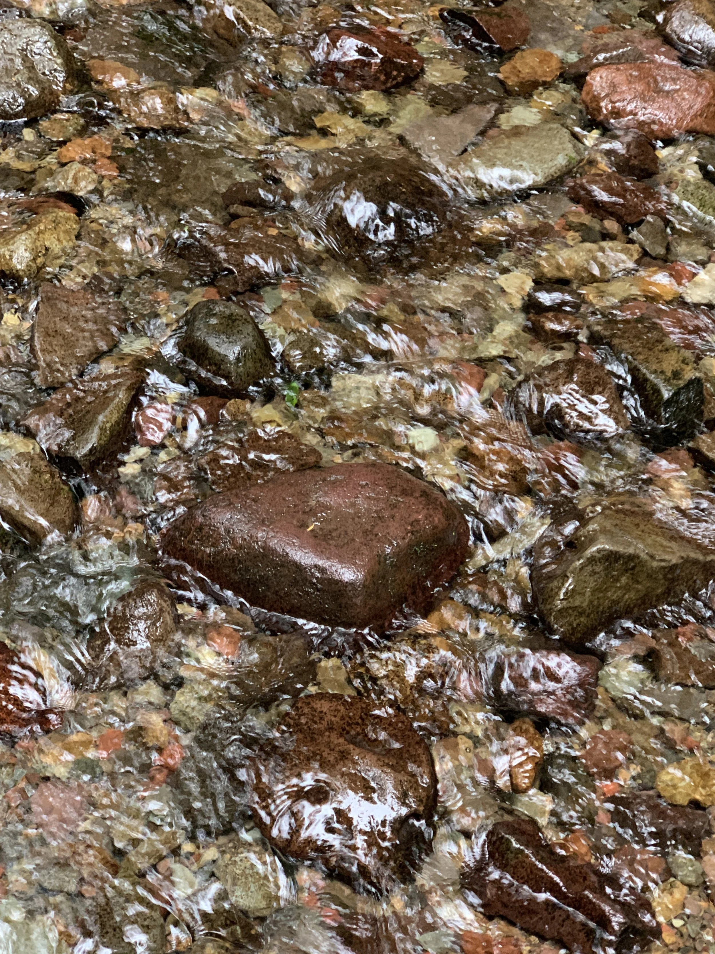 Ex Post Facto Claim Limitations — Mr. IP Law