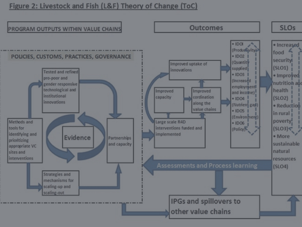 Theory of Change
