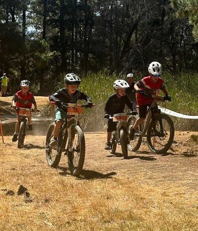 e3a9eddb-a4af-4c88-82b2-7c384ca535bf copy.jpg