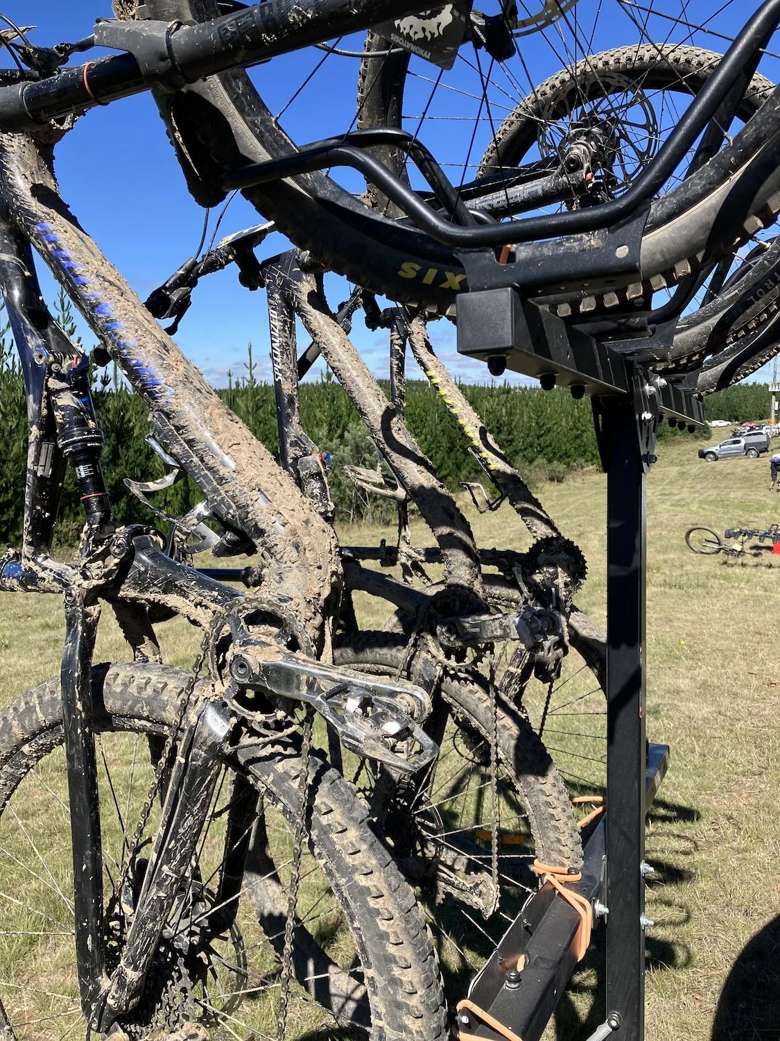 260329 IMG_8641 copy.jpg