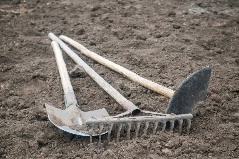 250930 tools-garden-shovel-hoe-rake-62458673.webp