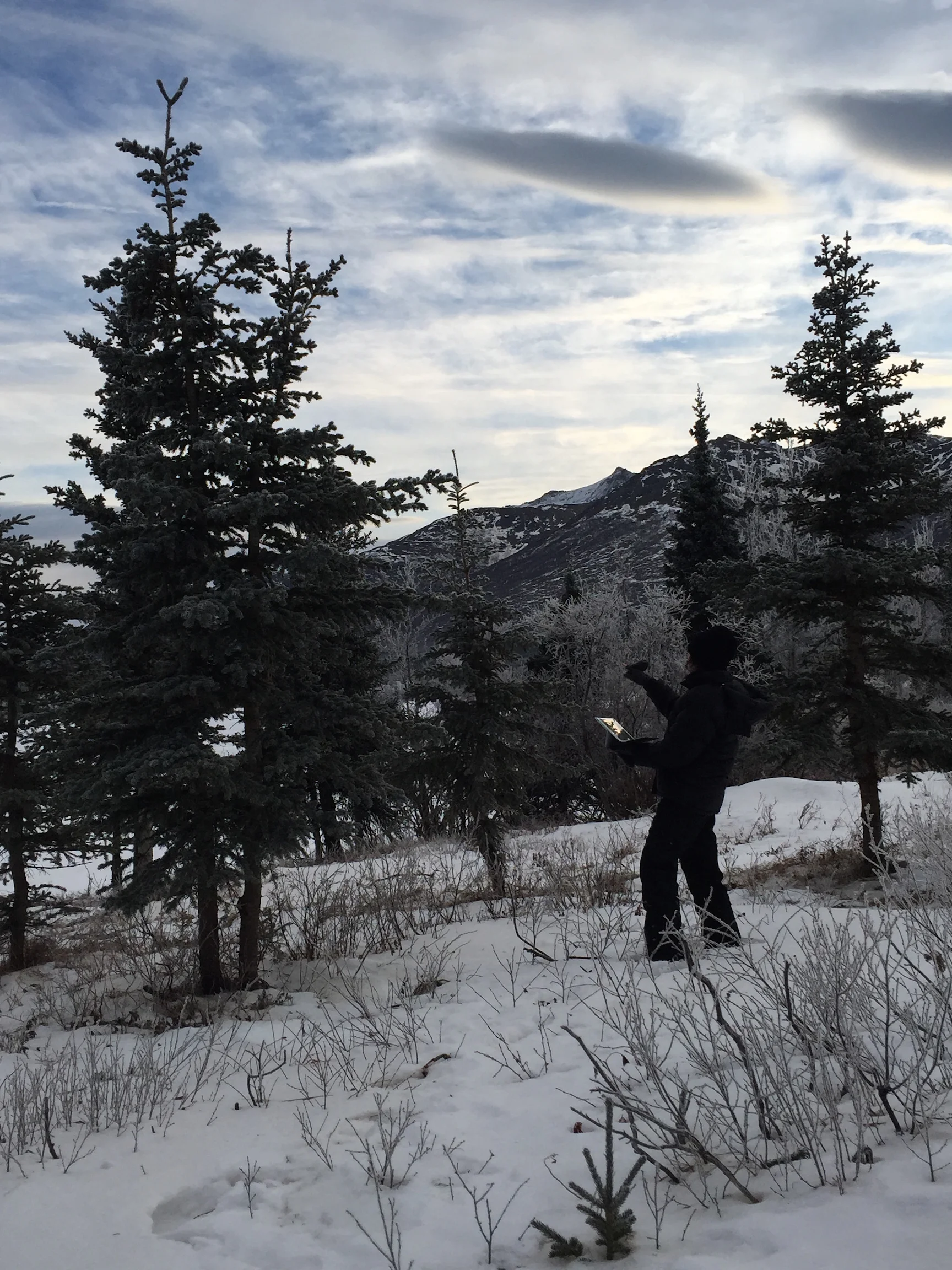   Liz Sears of SRB&amp;A utilizing TerraGo Edge in offline mode on iPad outside of Denali National Park.  Photo Credit – Susan Lukowski.  