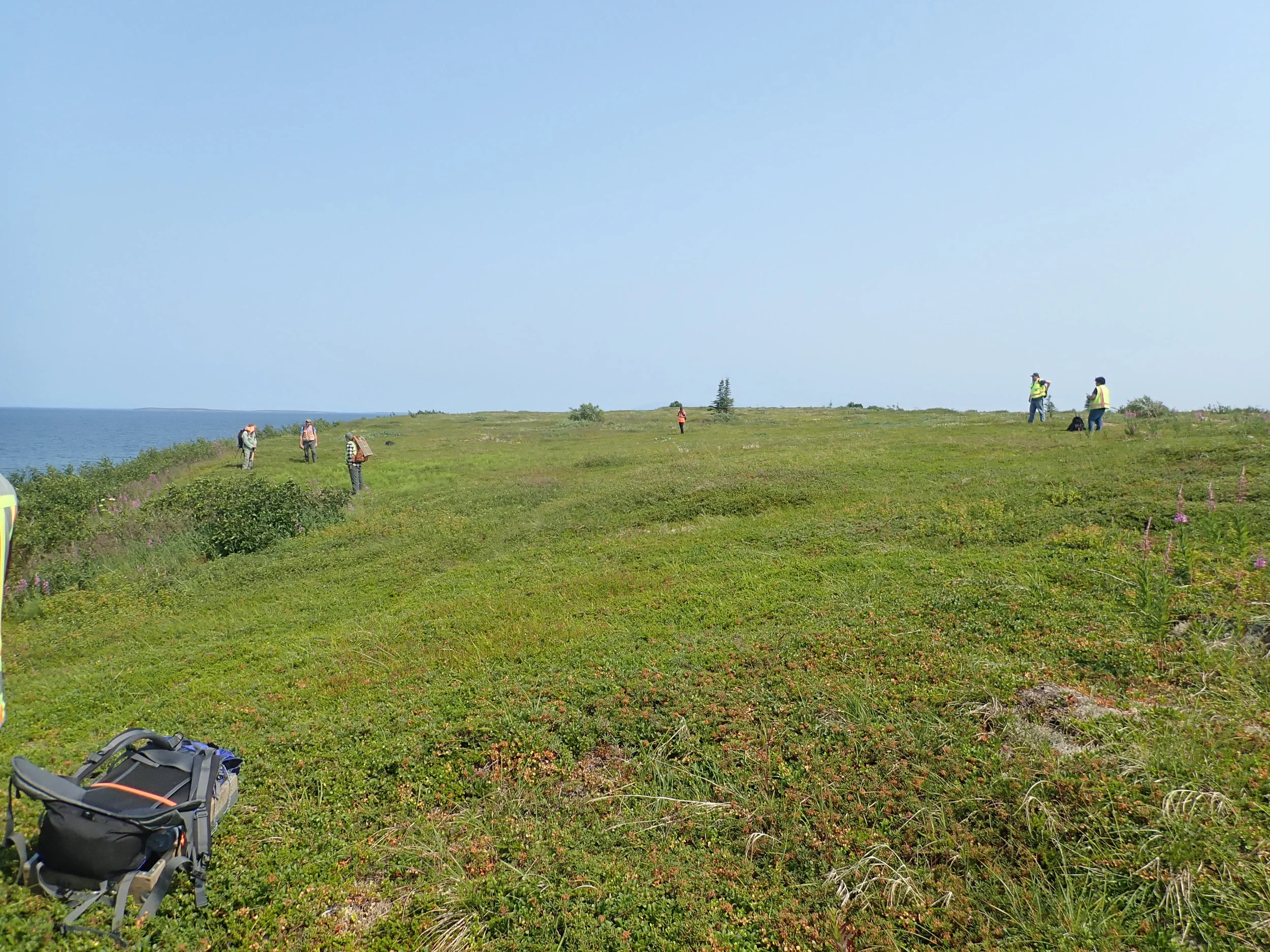  SRB&amp;A field crew conducting transect surveys near Iliamna Lake  Photo Credit - Pat Hall 