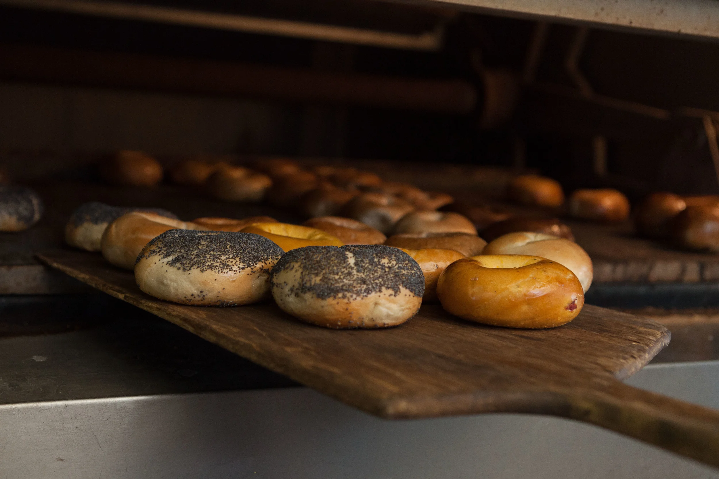 House of Bagels Mountain View