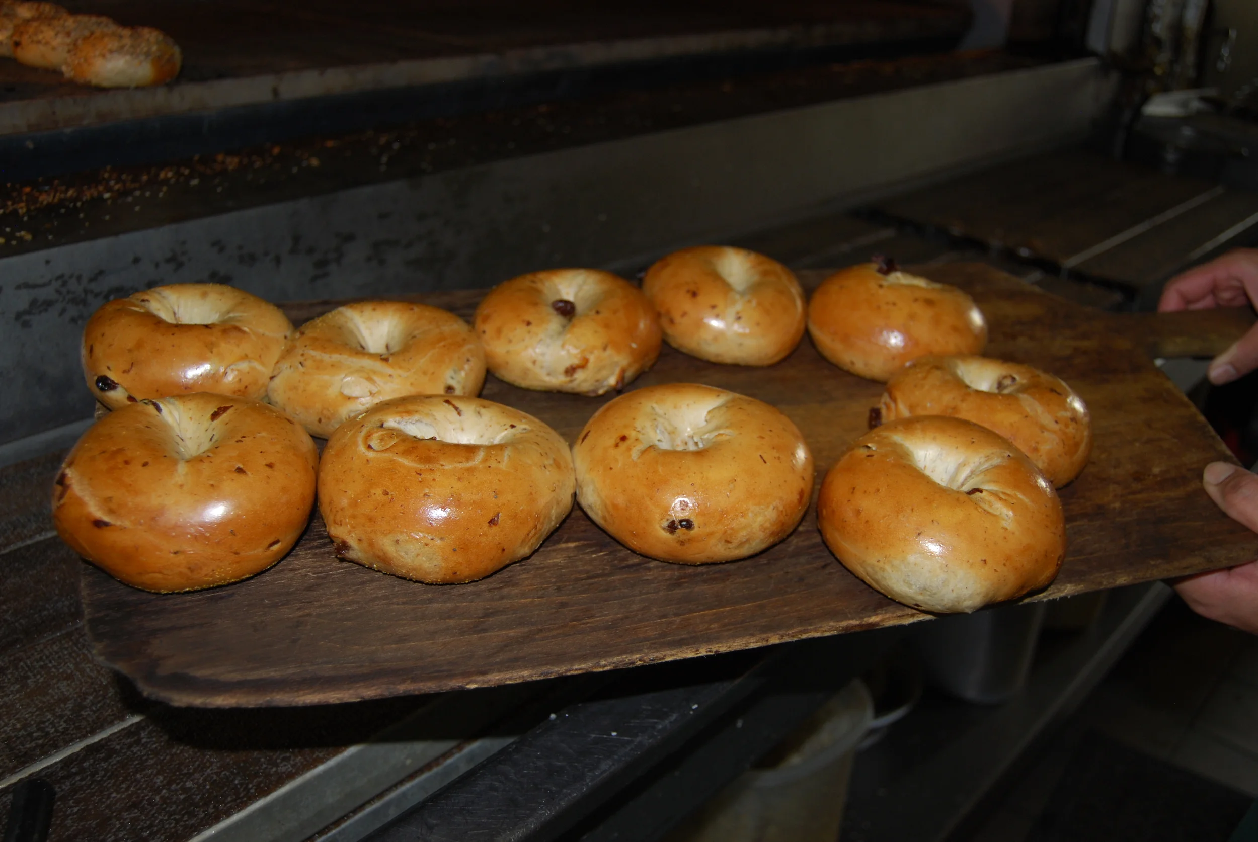 House of Bagels