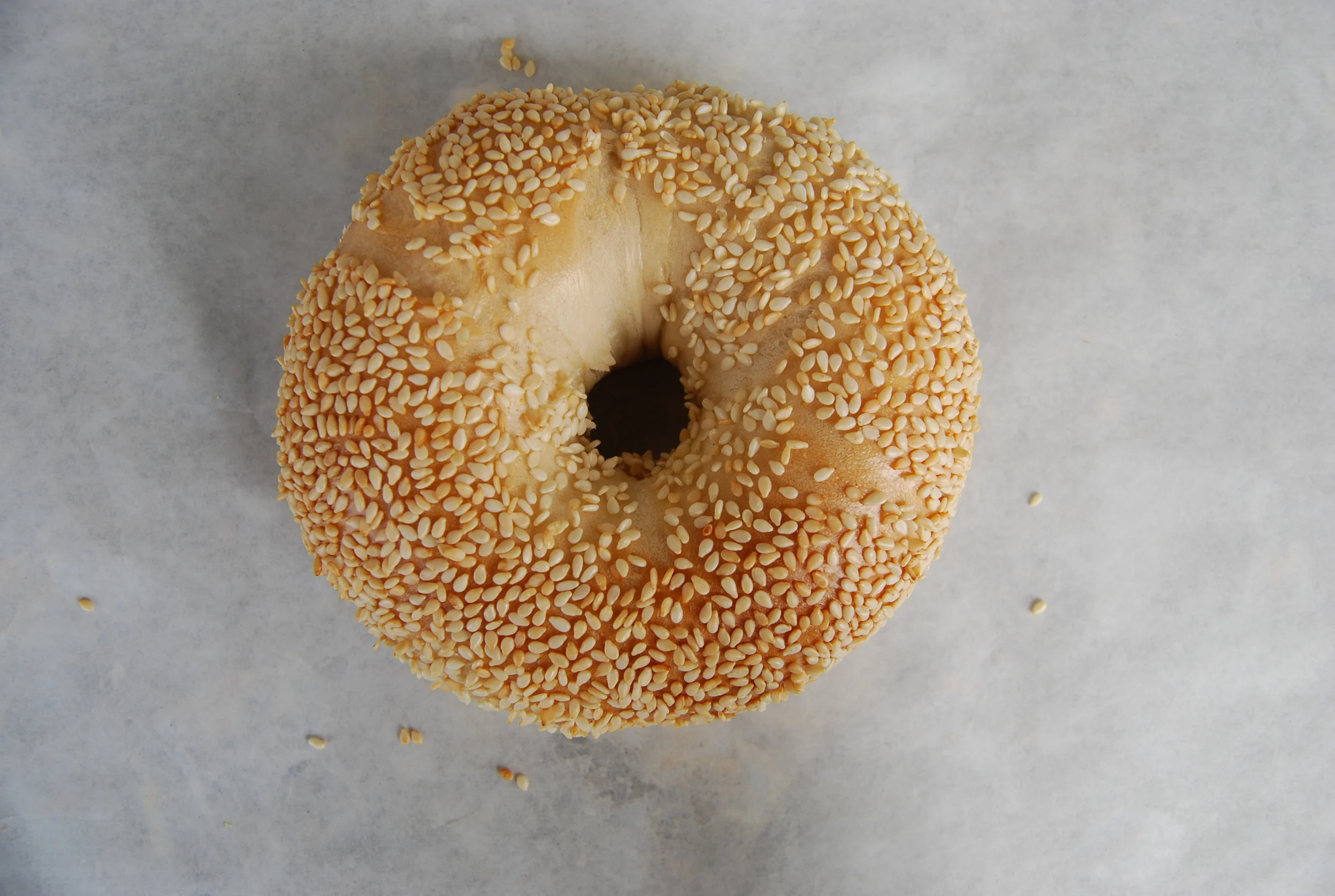 House of Bagels