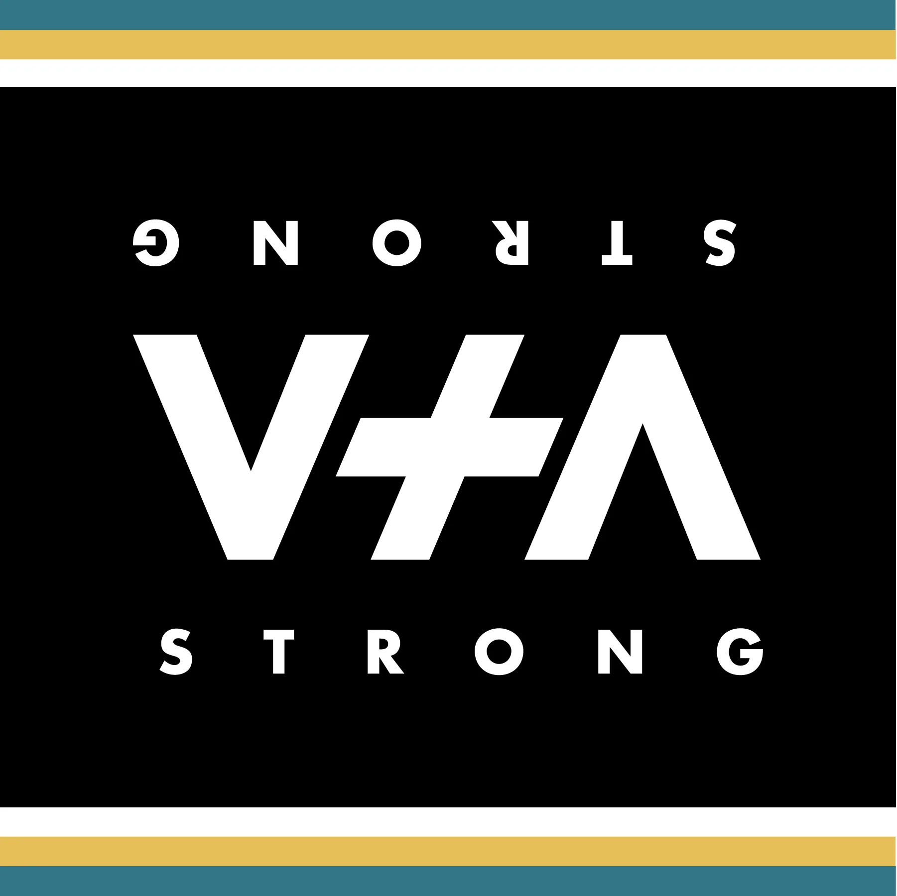 vtastrong_web-03.jpg