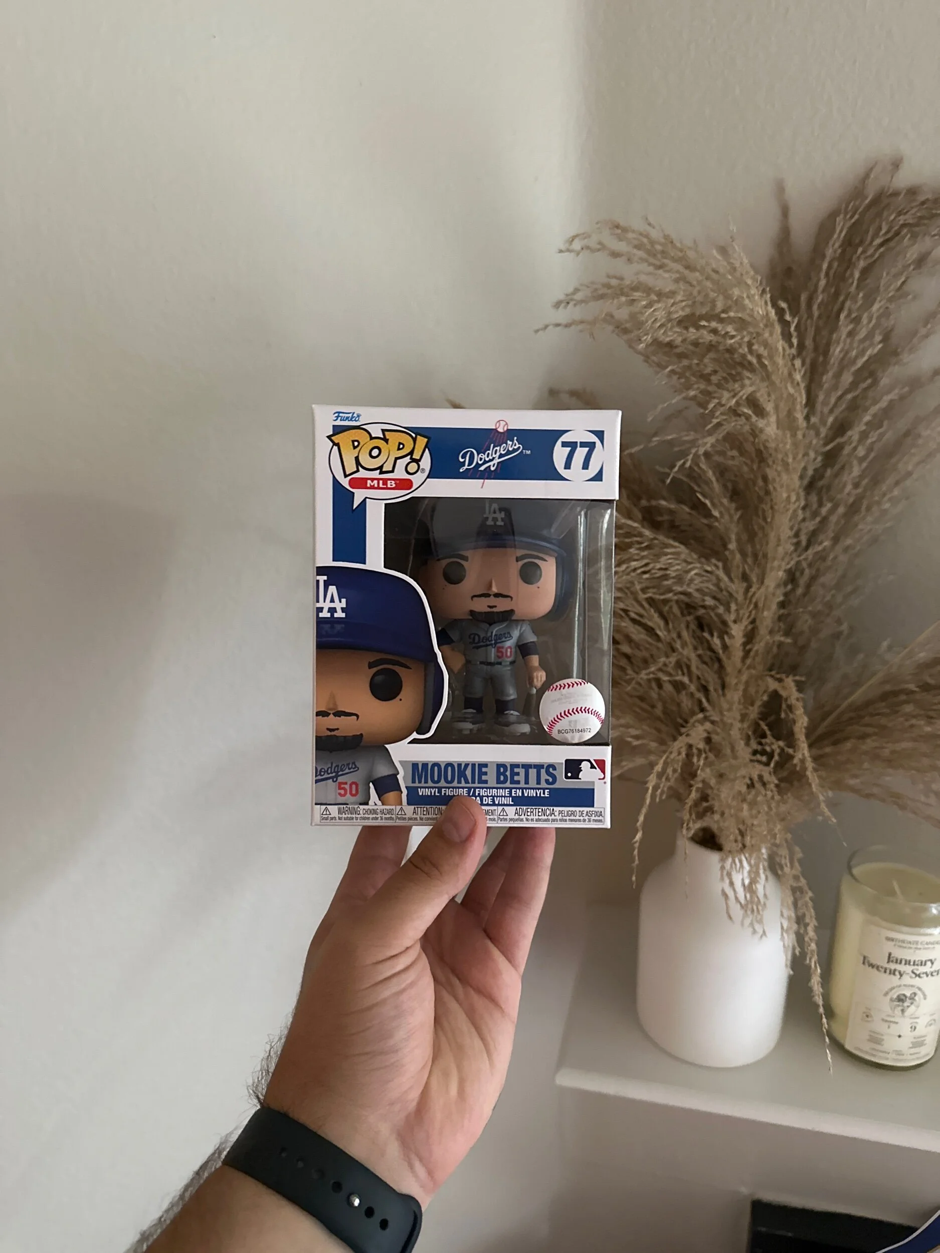 5D21A46D-CD5F-4202-B21D-6787237F36A7