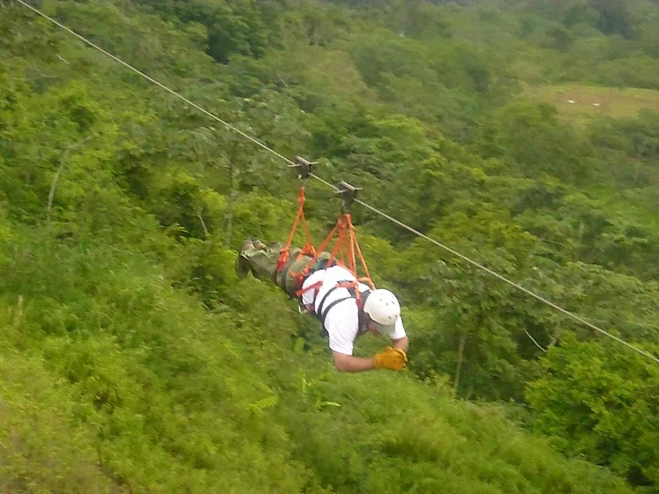 Canopy.jpg