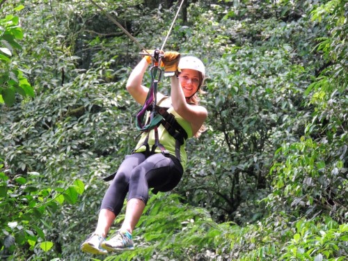 canopy1.jpg