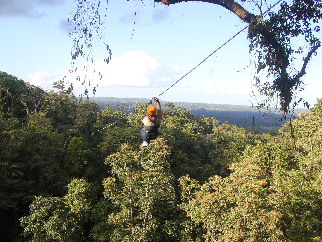 CANOPY- 11-1-12-12-1-12 231.jpg