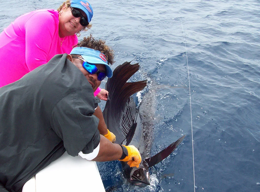 schreiver-sailfish.jpg