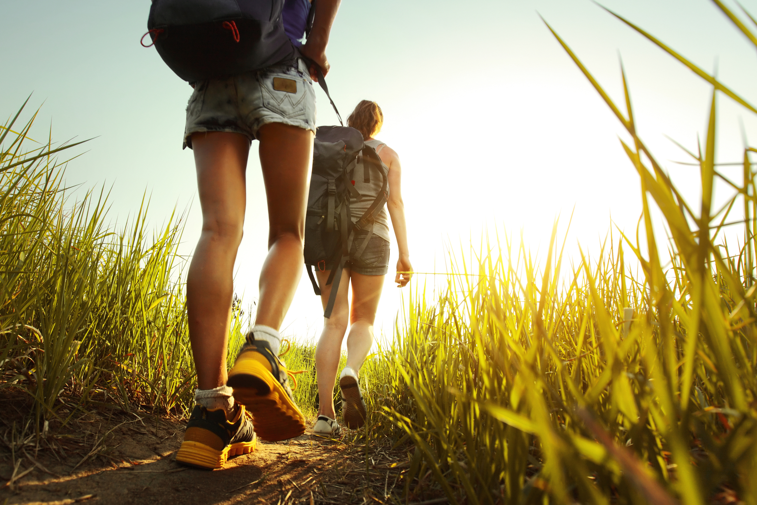 hike Costa Rica.jpg