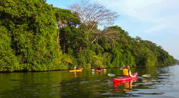 Tortuguero canals.jpg