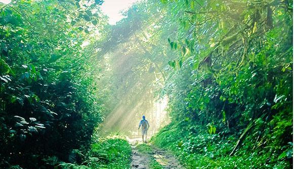 aventurasencostarica hiking.jpg